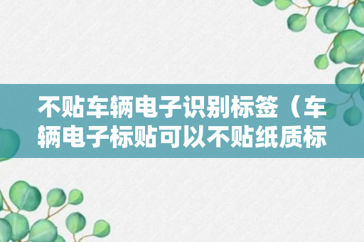 不贴车辆电子识别标签（车辆电子标贴可以不贴纸质标贴吗）