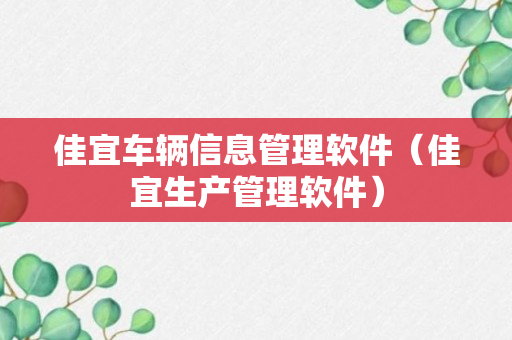 佳宜车辆信息管理软件（佳宜生产管理软件）