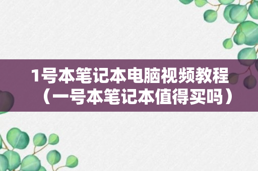 1号本笔记本电脑视频教程（一号本笔记本值得买吗）