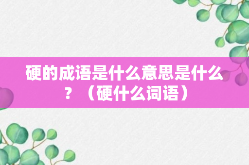 硬的成语是什么意思是什么？（硬什么词语）