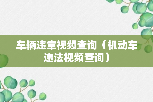 车辆违章视频查询（机动车违法视频查询）