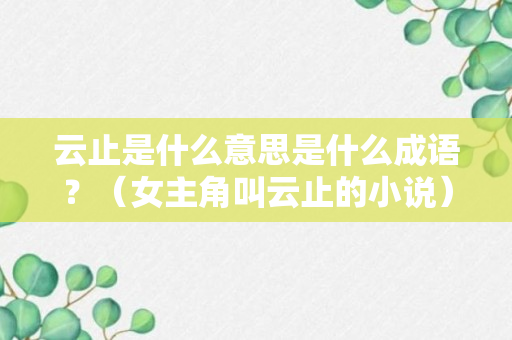 云止是什么意思是什么成语？（女主角叫云止的小说）