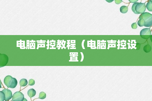 电脑声控教程（电脑声控设置）