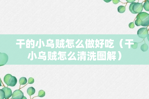 干的小乌贼怎么做好吃（干小乌贼怎么清洗图解）