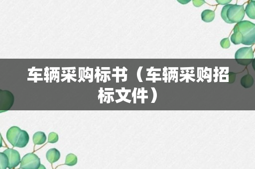 车辆采购标书（车辆采购招标文件）