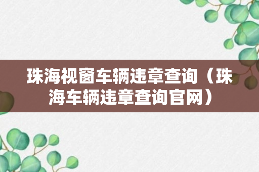 珠海视窗车辆违章查询（珠海车辆违章查询官网）