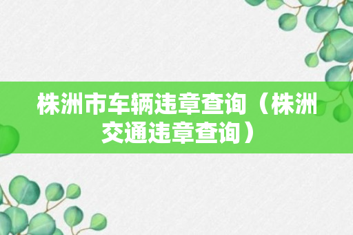 株洲市车辆违章查询（株洲交通违章查询）