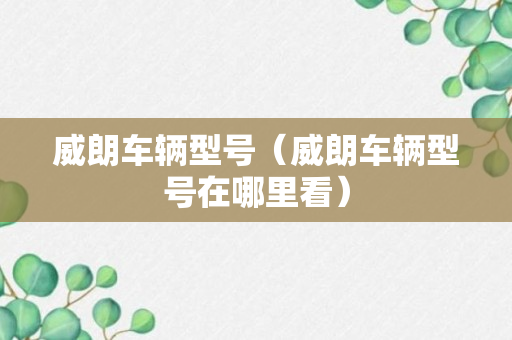 威朗车辆型号（威朗车辆型号在哪里看）