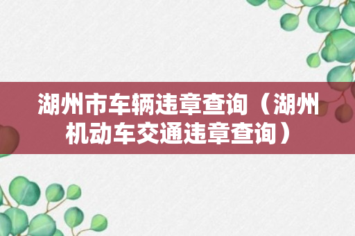 湖州市车辆违章查询（湖州机动车交通违章查询）