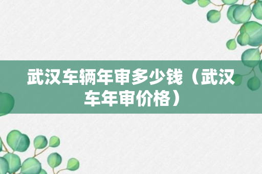 武汉车辆年审多少钱（武汉车年审价格）