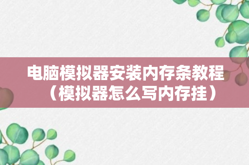 电脑模拟器安装内存条教程（模拟器怎么写内存挂）