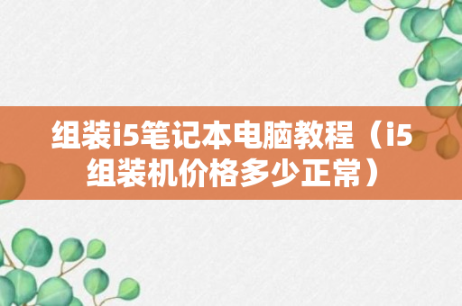 组装i5笔记本电脑教程（i5组装机价格多少正常）