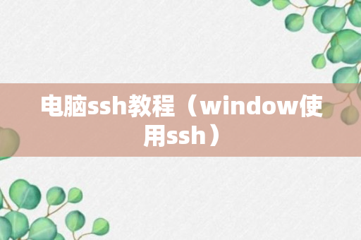 电脑ssh教程（window使用ssh）