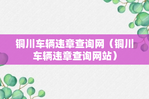 铜川车辆违章查询网（铜川车辆违章查询网站）