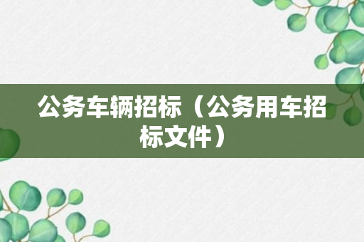 公务车辆招标（公务用车招标文件）