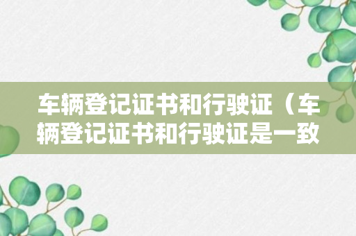 车辆登记证书和行驶证（车辆登记证书和行驶证是一致的吗）