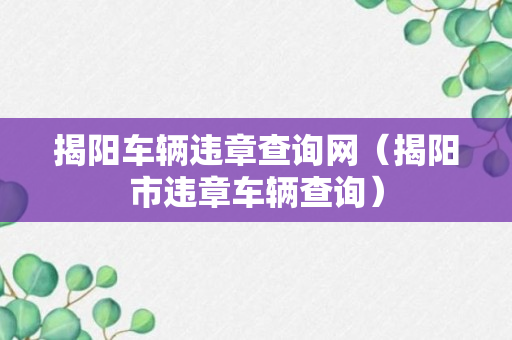 揭阳车辆违章查询网（揭阳市违章车辆查询）