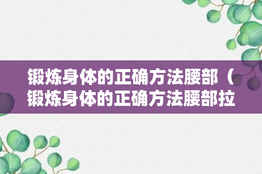 锻炼身体的正确方法腰部（锻炼身体的正确方法腰部拉伸动作）