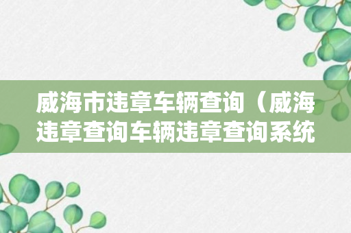 威海市违章车辆查询（威海违章查询车辆违章查询系统）