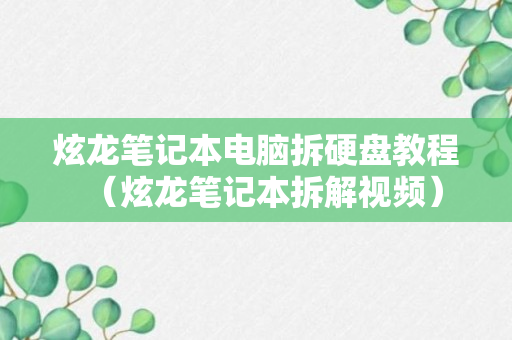 炫龙笔记本电脑拆硬盘教程（炫龙笔记本拆解视频）