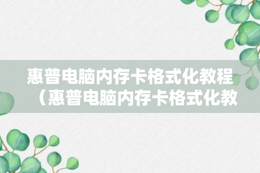 惠普电脑内存卡格式化教程（惠普电脑内存卡格式化教程图解）