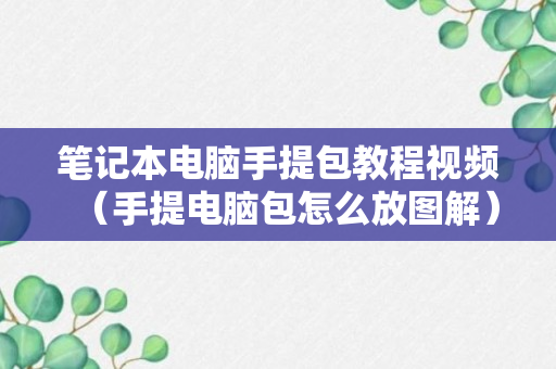 笔记本电脑手提包教程视频（手提电脑包怎么放图解）