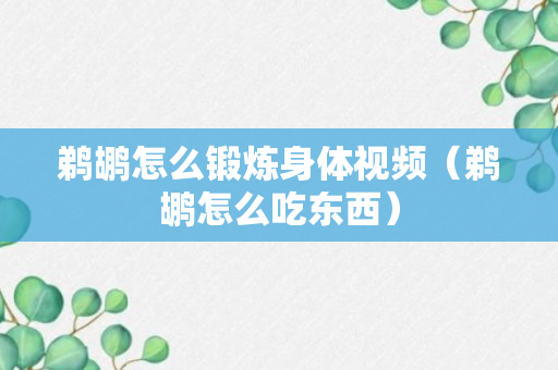 鹈鹕怎么锻炼身体视频（鹈鹕怎么吃东西）