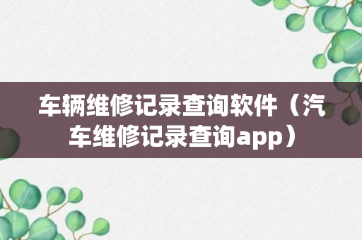 车辆维修记录查询软件（汽车维修记录查询app）