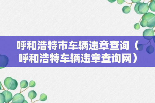 呼和浩特市车辆违章查询（呼和浩特车辆违章查询网）