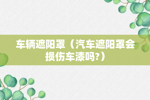 车辆遮阳罩（汽车遮阳罩会损伤车漆吗?）