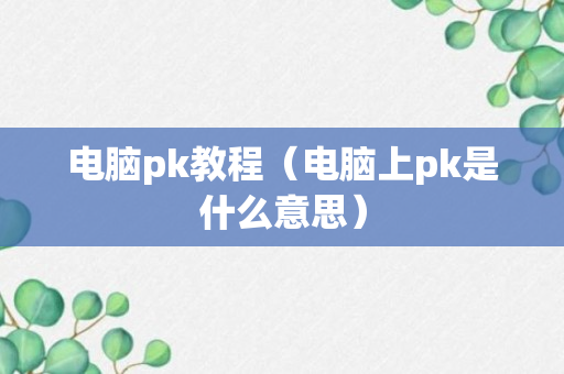 电脑pk教程（电脑上pk是什么意思）