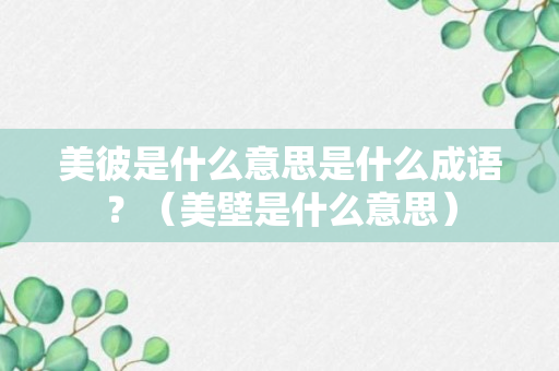 美彼是什么意思是什么成语？（美壁是什么意思）