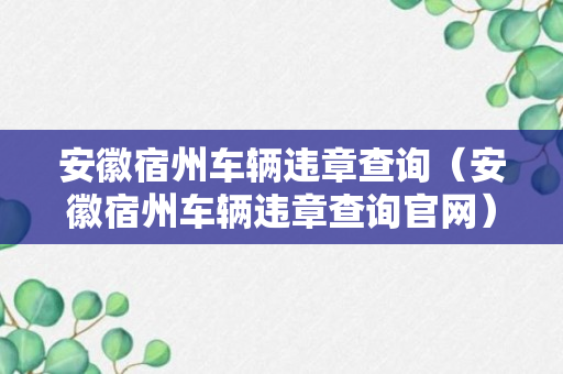 安徽宿州车辆违章查询（安徽宿州车辆违章查询官网）