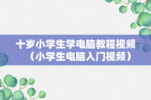 十岁小学生学电脑教程视频（小学生电脑入门视频）