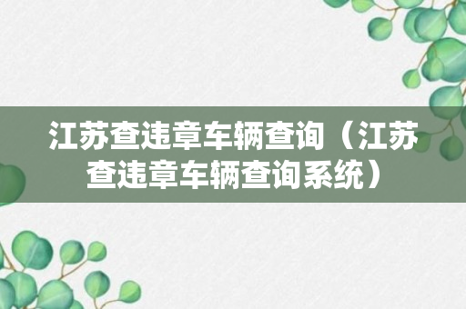 江苏查违章车辆查询（江苏查违章车辆查询系统）