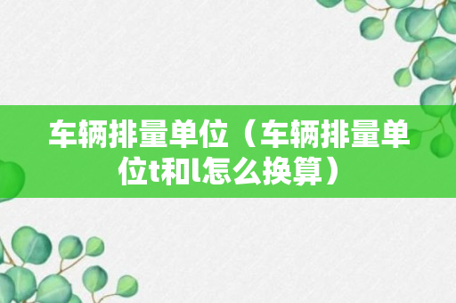 车辆排量单位（车辆排量单位t和l怎么换算）