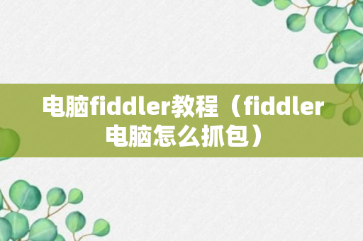 电脑fiddler教程（fiddler电脑怎么抓包）