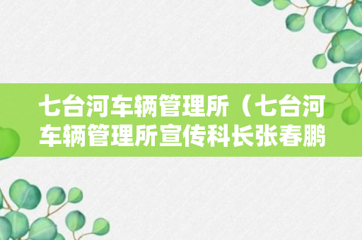 七台河车辆管理所（七台河车辆管理所宣传科长张春鹏照片）