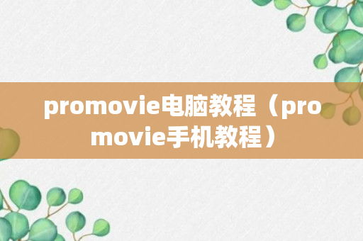 promovie电脑教程（promovie手机教程）