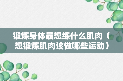 锻炼身体最想练什么肌肉（想锻炼肌肉该做哪些运动）