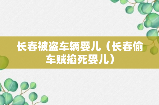 长春被盗车辆婴儿（长春偷车贼掐死婴儿）