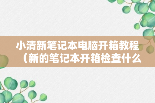 小清新笔记本电脑开箱教程（新的笔记本开箱检查什么）