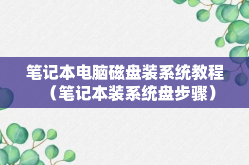 笔记本电脑磁盘装系统教程（笔记本装系统盘步骤）