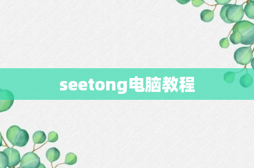 seetong电脑教程