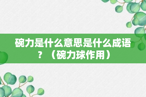 碗力是什么意思是什么成语？（碗力球作用）