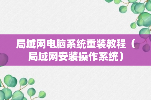 局域网电脑系统重装教程（局域网安装操作系统）