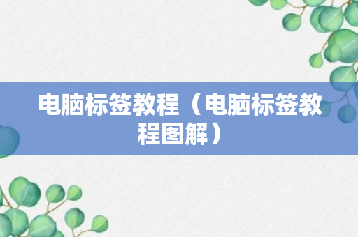 电脑标签教程（电脑标签教程图解）