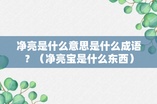 净亮是什么意思是什么成语？（净亮宝是什么东西）