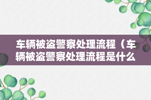 车辆被盗警察处理流程（车辆被盗警察处理流程是什么）