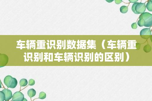 车辆重识别数据集（车辆重识别和车辆识别的区别）